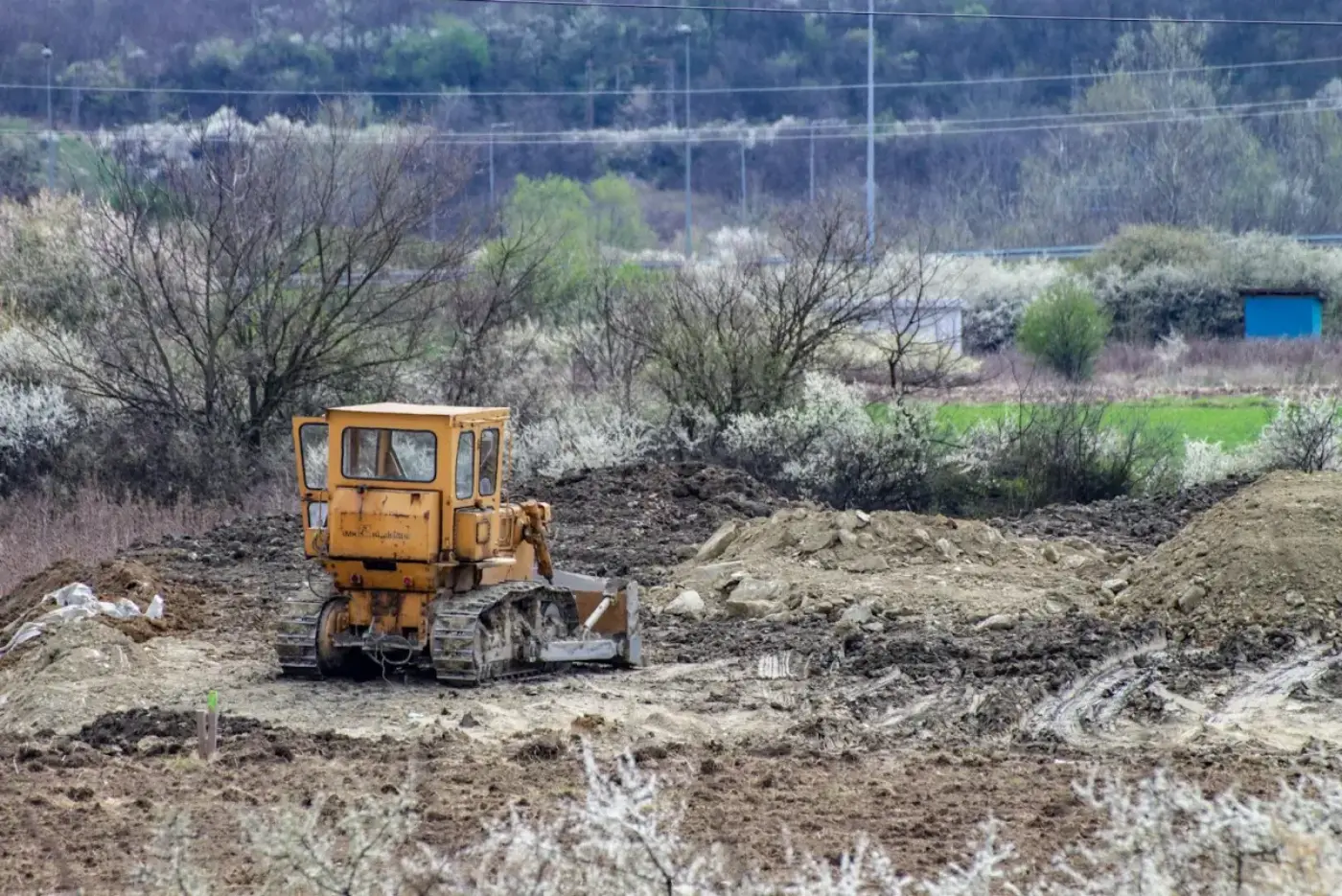 Jacksonville service-area planning image for land clearing